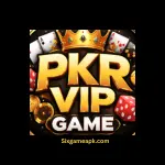 PKRVIP Game logo with black background and bold text.